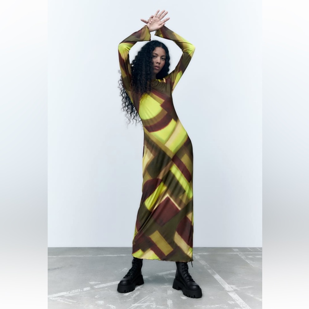 NWT Zara printed dress